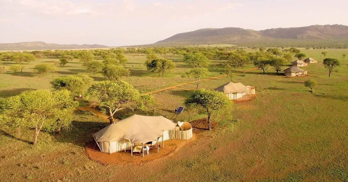 Ngorongoro Crater β Full Day Crater Floor Safari