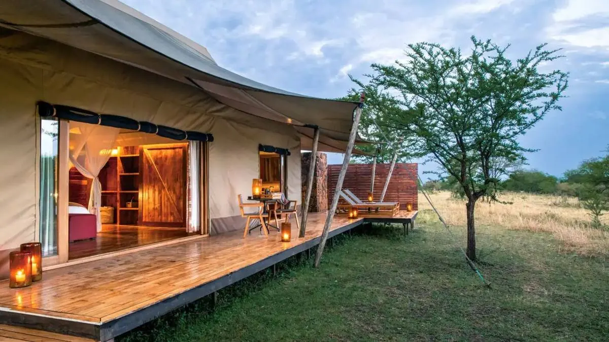 Samburu Special Five Safari β Rare & Unique Species