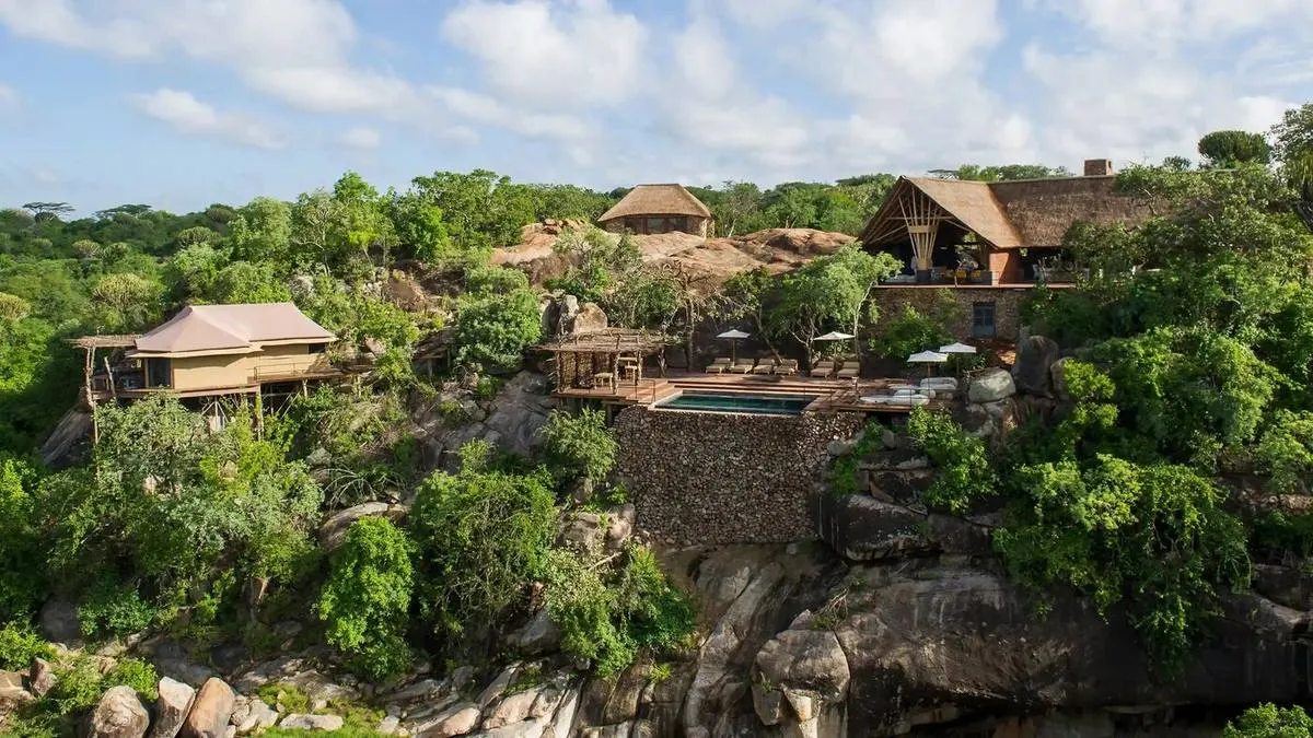 Luxury Safari Lodges South Africa: Are They Worth the Splurge?