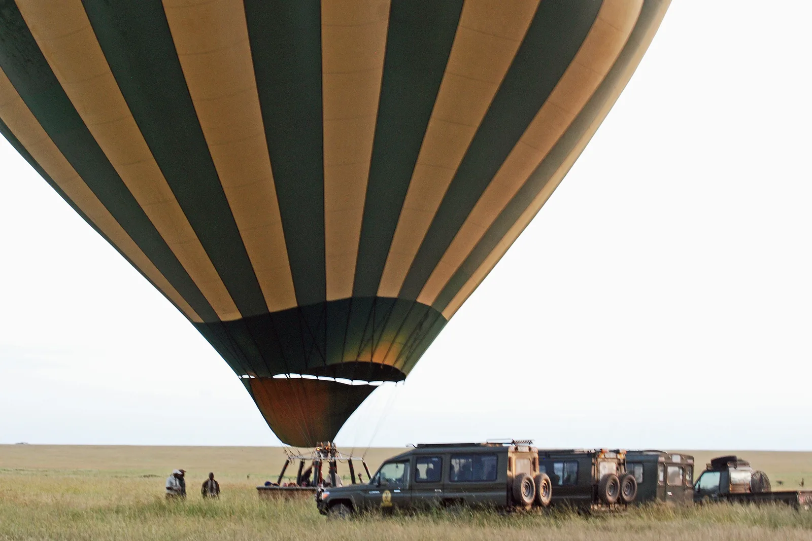 Zanzibar Beach and Bush: Safari Then Island Bliss
