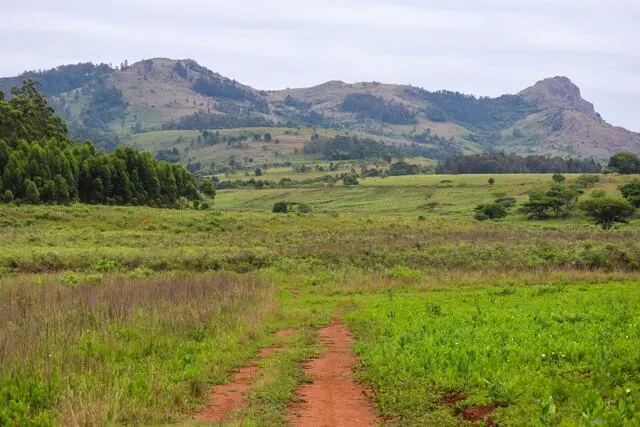 Eswatini (Swaziland) β Africa's last absolute monarchy β culture, wildlife & mountain adventures