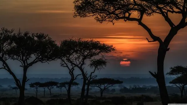 Kenya Safari Guide 2026 — Best Time to Visit, Weather, Costs & Where to Go
