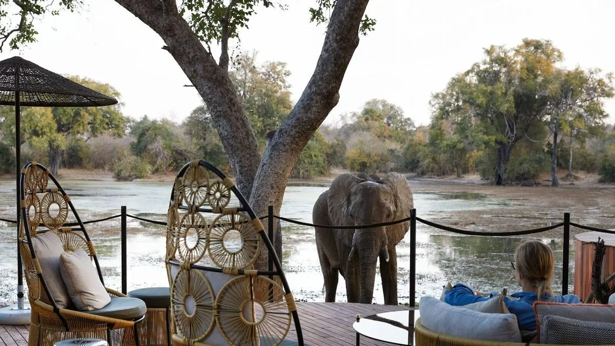 Zimbabwe Grand Circuit — Hwange, Mana Pools & Victoria Falls