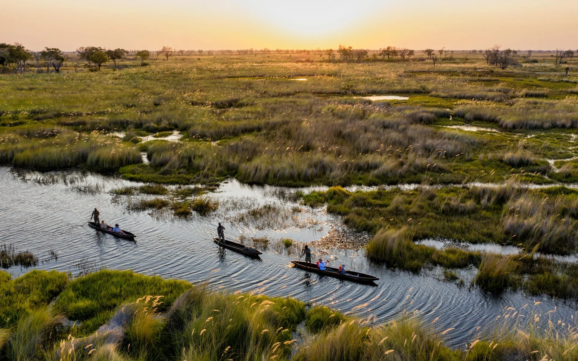 Okavango Delta Safari Guide 2026 — Botswana's Water Wilderness