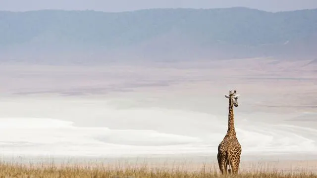 Kilimanjaro Summit & Serengeti Safari — 12-Day Ultimate Tanzania — Mount Kilimanjaro & Serengeti, Tanzania