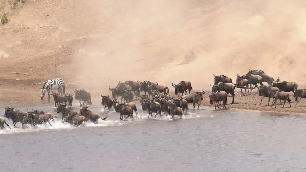 East Africa Migration, Safari & Highlands — Kenya & Tanzania Combined