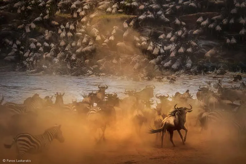 Great Migration