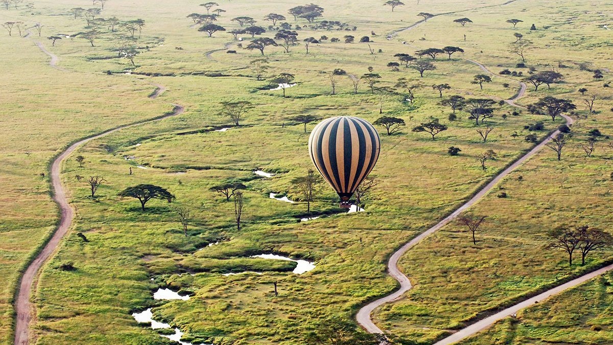 South Africa Safari vs East Africa — The Honest Comparison for 2026