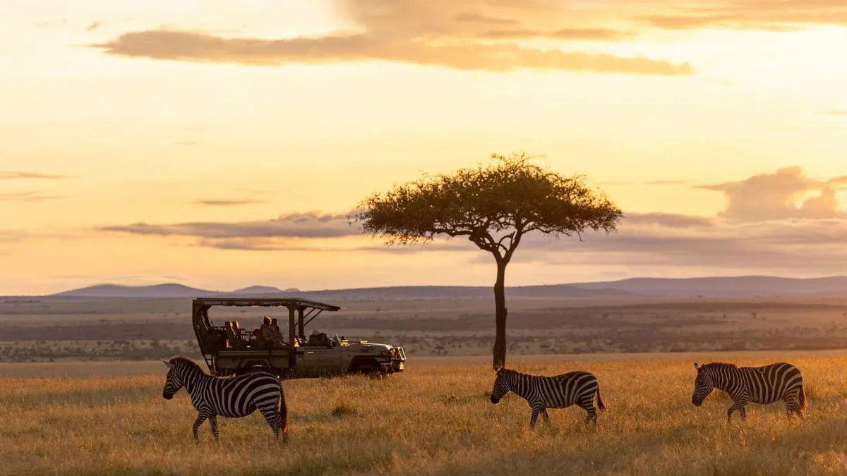 Safari game drive at golden hour
