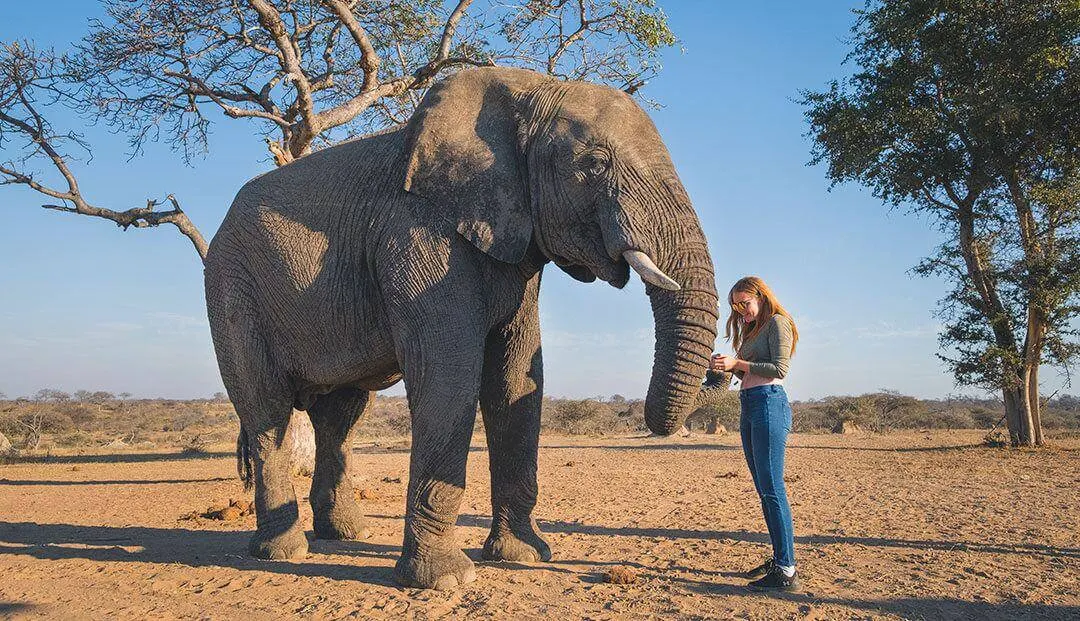 Kruger & Panorama Route Family Safari
