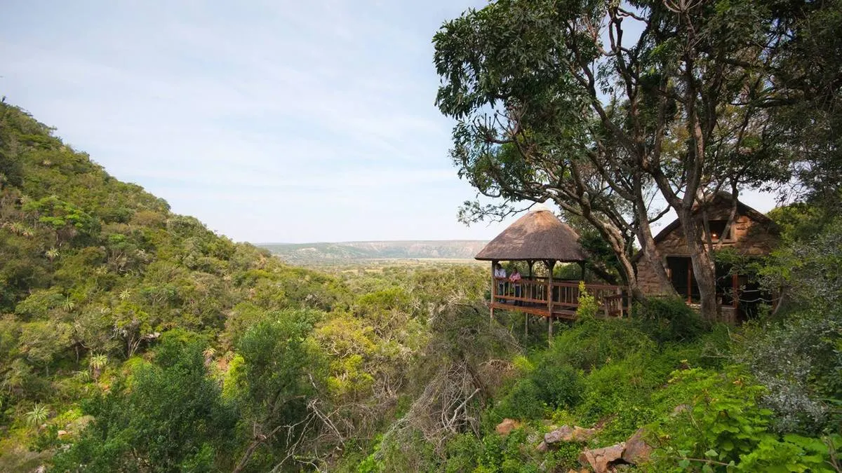 Amakhala Game Reserve — luxury safari lodge near Garden Route