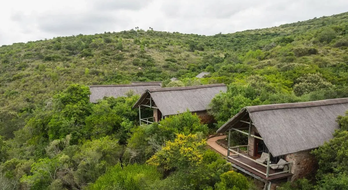 Lalibela Game Reserve — luxury safari lodge near Garden Route