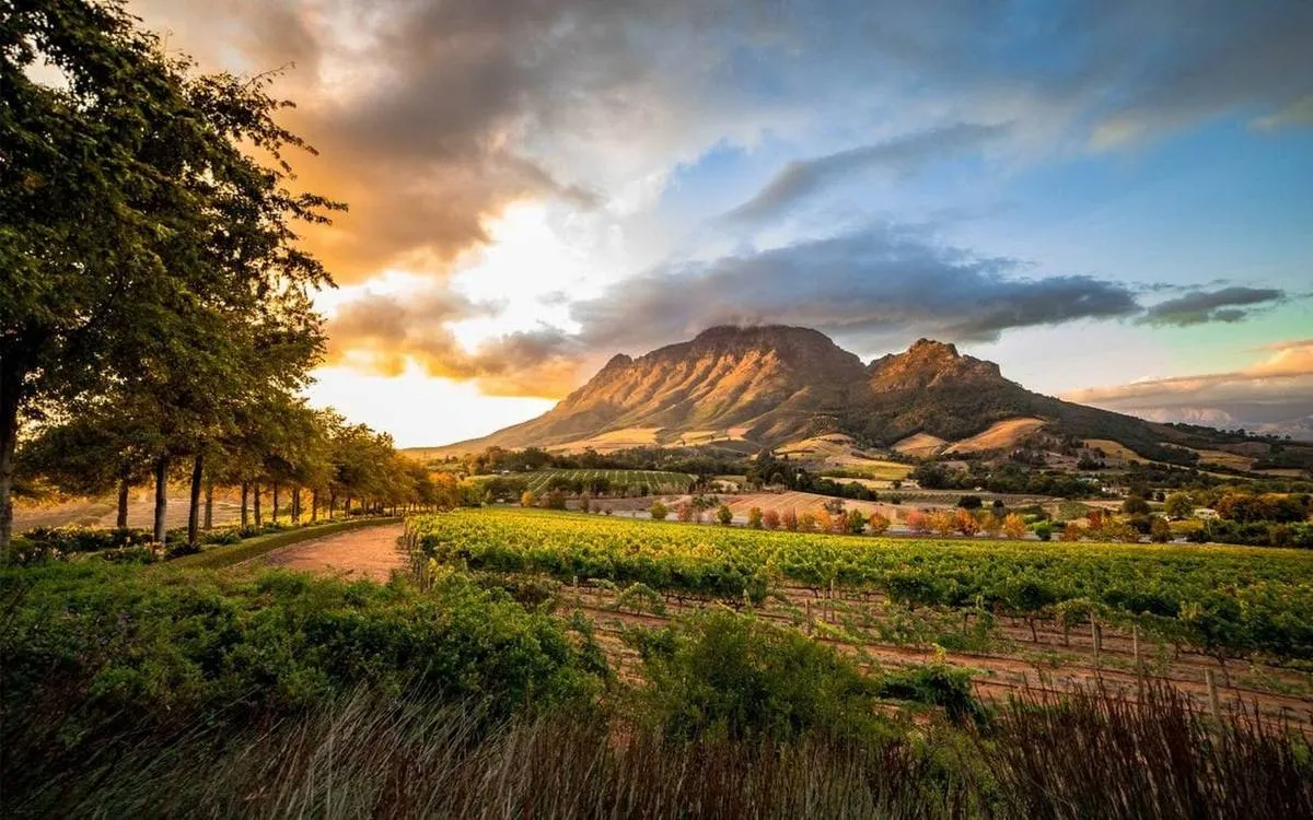 Cape Winelands Luxury Retreat