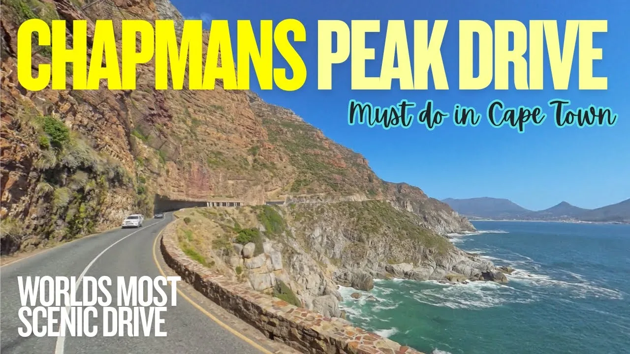 Full-Day Cape Peninsula Shared Tour
