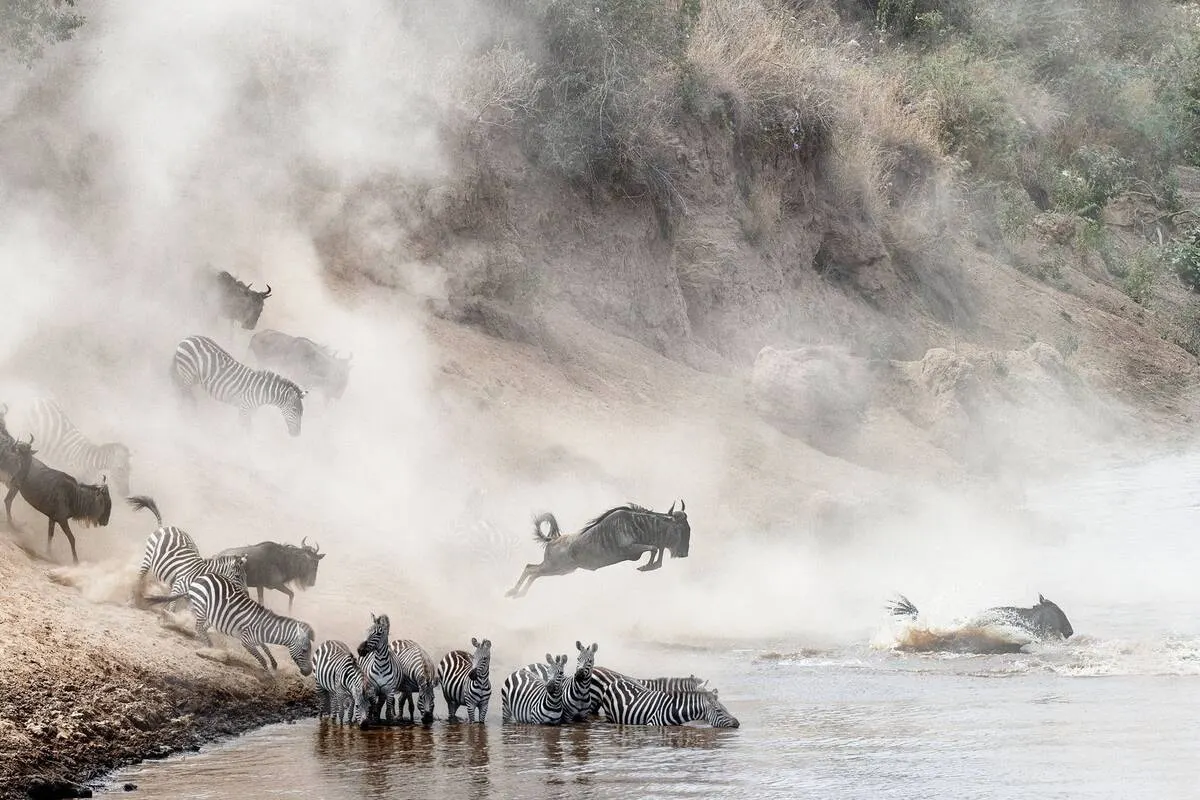 East Africa Grand Safari — Kenya, Tanzania & Rwanda 16-Day — Masai Mara, Serengeti, Ngorongoro, Volcanoes NP & Zanzibar