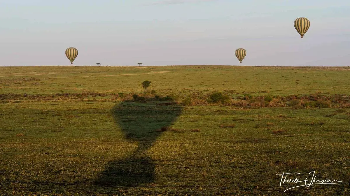 Masai Mara Private Conservancy — 5-Day Exclusive Safari — Masai Mara Private Conservancy, Kenya