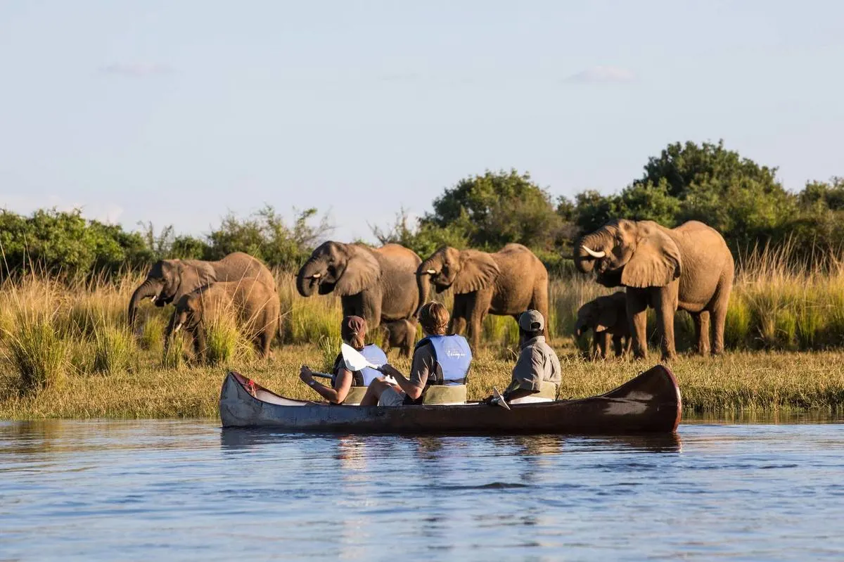 Mana Pools Canoe Trail