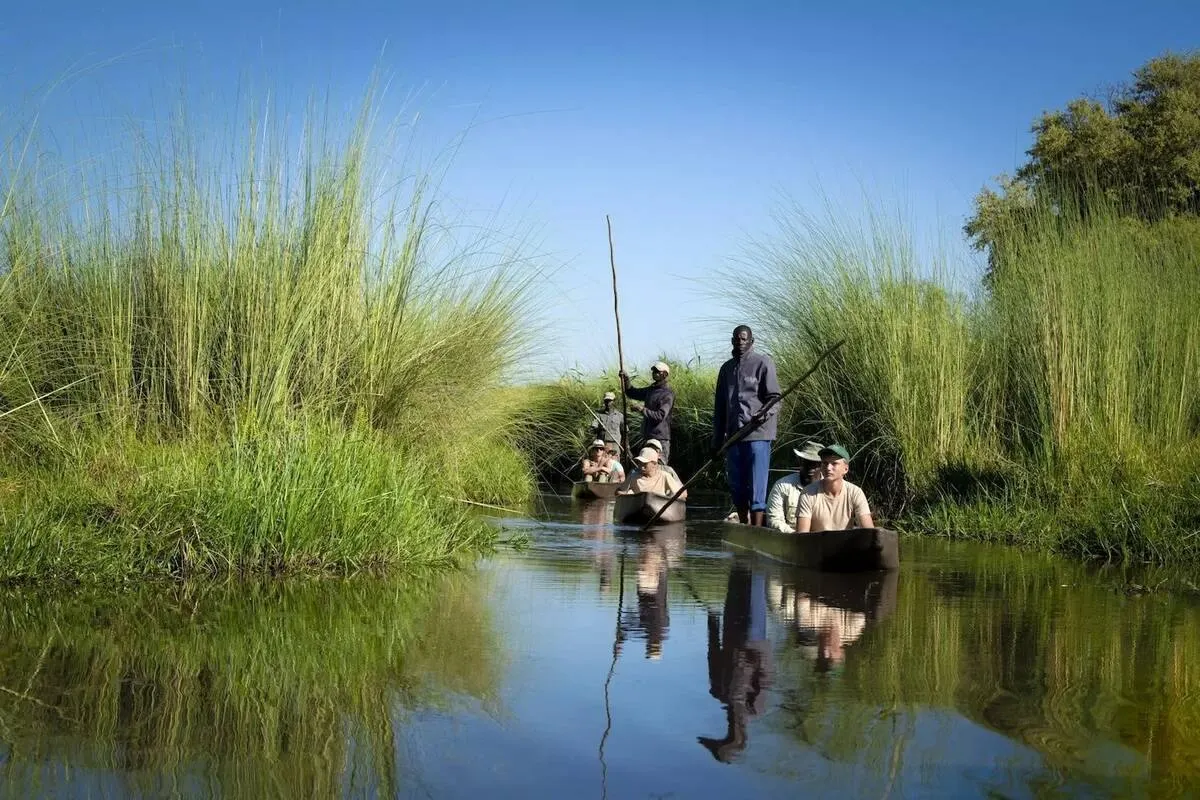 Botswana Okavango Fly-In Luxury Safari — 5-Day Delta & Chobe — Okavango Delta & Chobe, Botswana